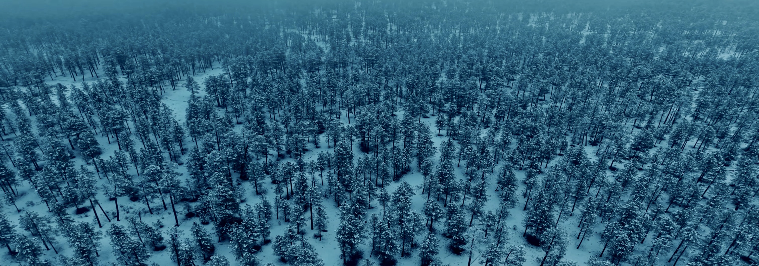 The Freezing — still 1 of 8